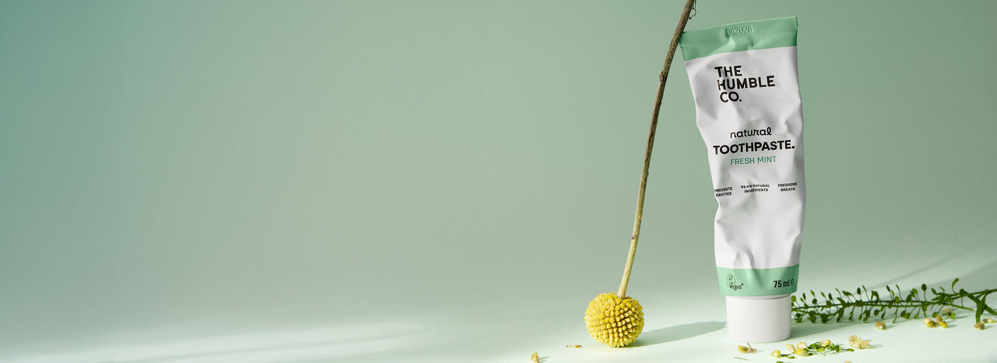 Tube of toothpaste with a gold plant on a light green background