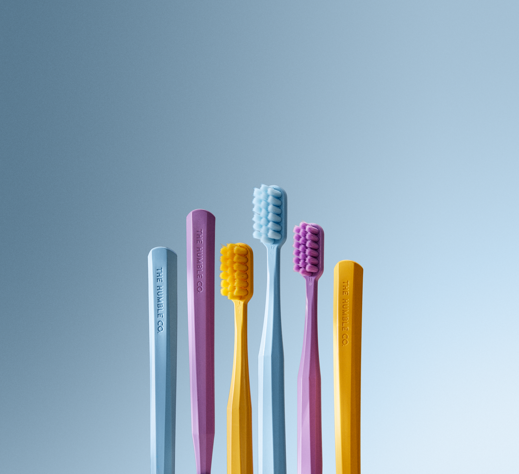Humble Brush 7K-yellow