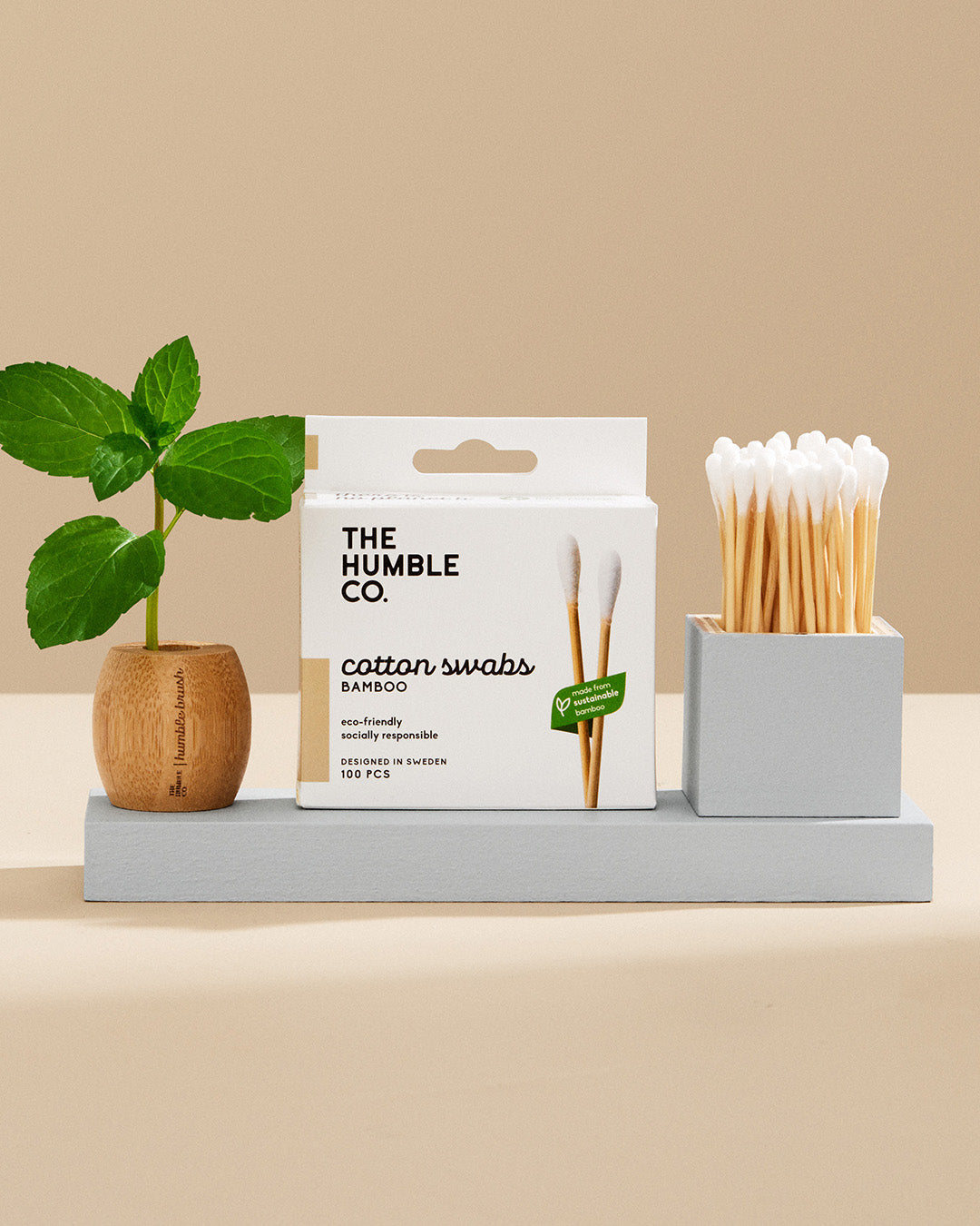 Packaging of The Humble Co. cotton swabs with bamboo handle, alongside a small selection of swabs displayed in a gray holder, placed on a beige background with a small green plant to the left.