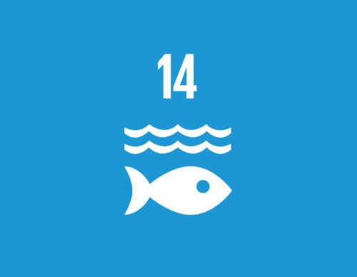International Coastal Cleanup Day - The Humble Co.
