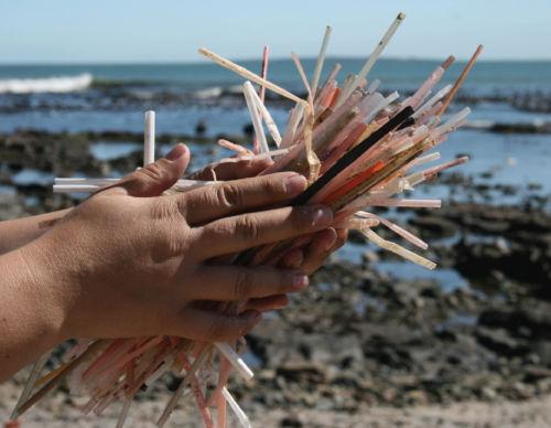Join the No Straw Movement - The Humble Co.