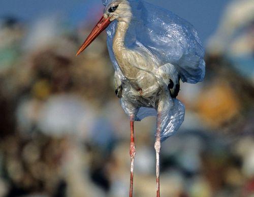 Plastic-Free July - The Humble Co.