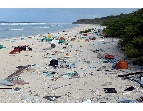 The Humble Co. Supports the Ban of Single-Use Plastics - The Humble Co.