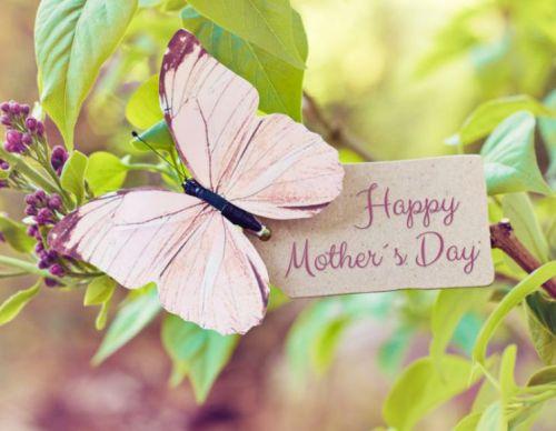 Upcycled Mother’s Day Gift Ideas - The Humble Co.
