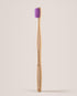 Bamboo toothbrush with purple bristles on a beige background