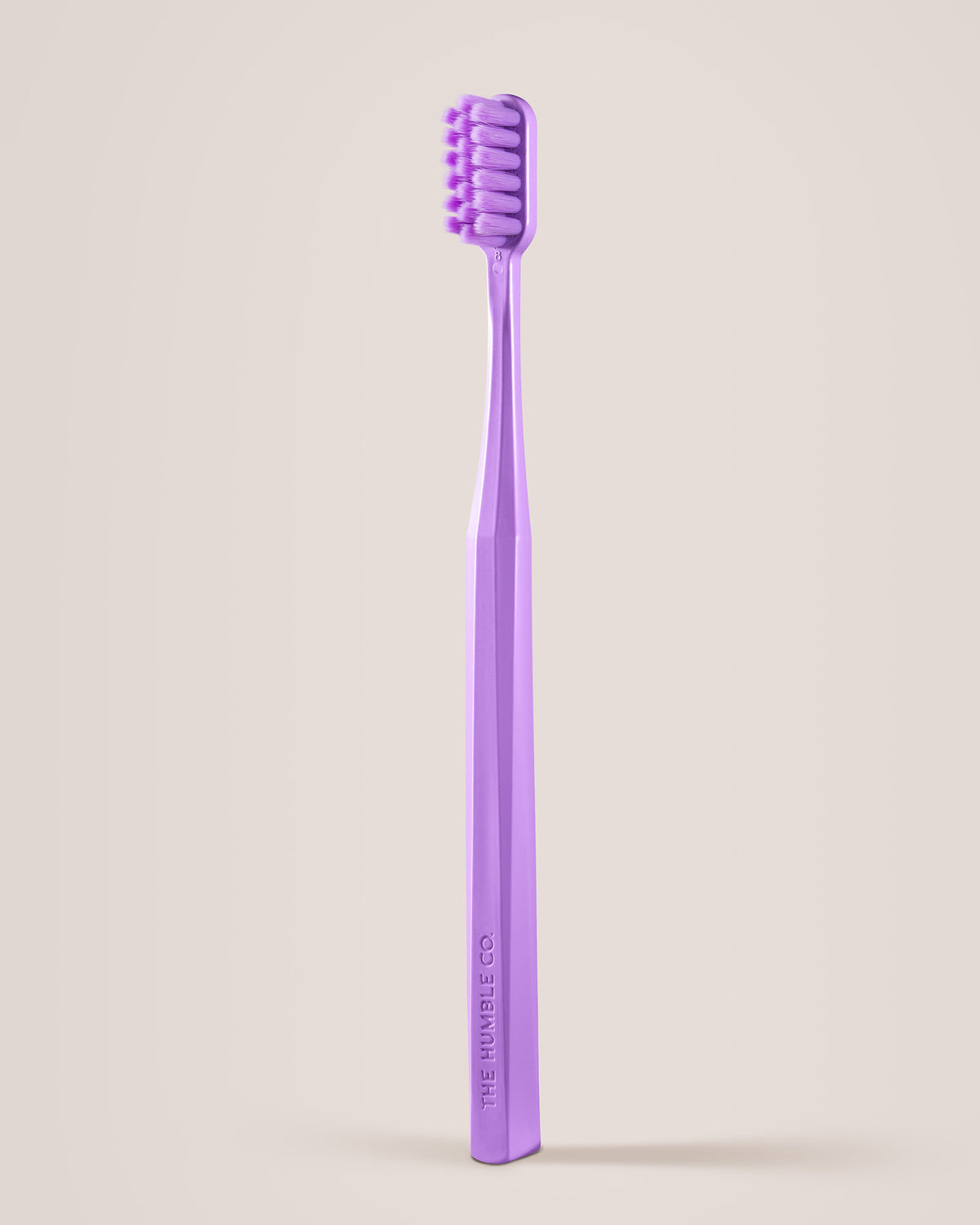 Noel Abdayem & Philip Bemerre: Grundarna till Dentiq Dental