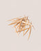 Toothpicks Bamboo