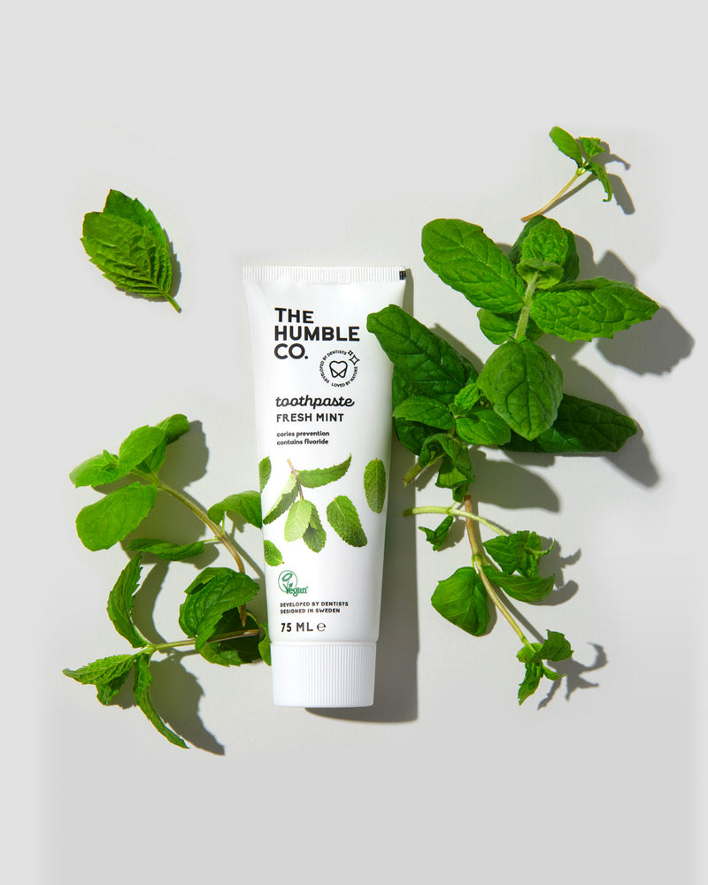 Natural Toothpaste – Fresh Mint