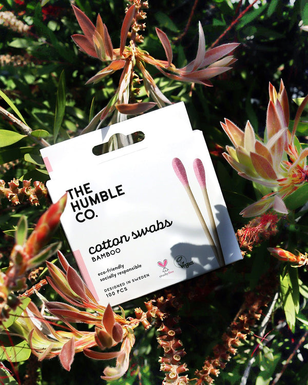 A box of The Humble Co. Bamboo Purple Cotton Swabs sits inside a plant, signifying a sustainable and eco-friendly approach to everyday essentials.