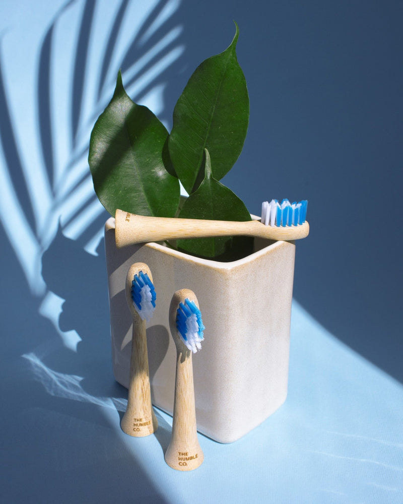 Electric Toothbrush Bamboo Heads - 4P - The Humble Co.