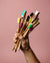 Family Pack - Toothbrush Adult – Medium - The Humble Co.