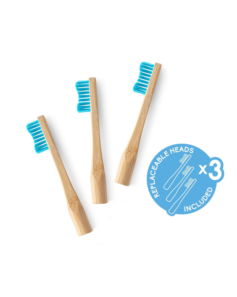 Humble Brush Adult - Blue Soft 3x heads - The Humble Co.