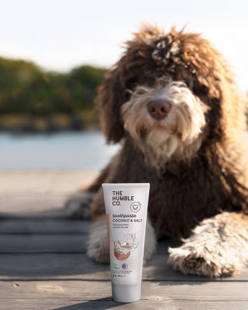 Natural Toothpaste – Coconut & Salt